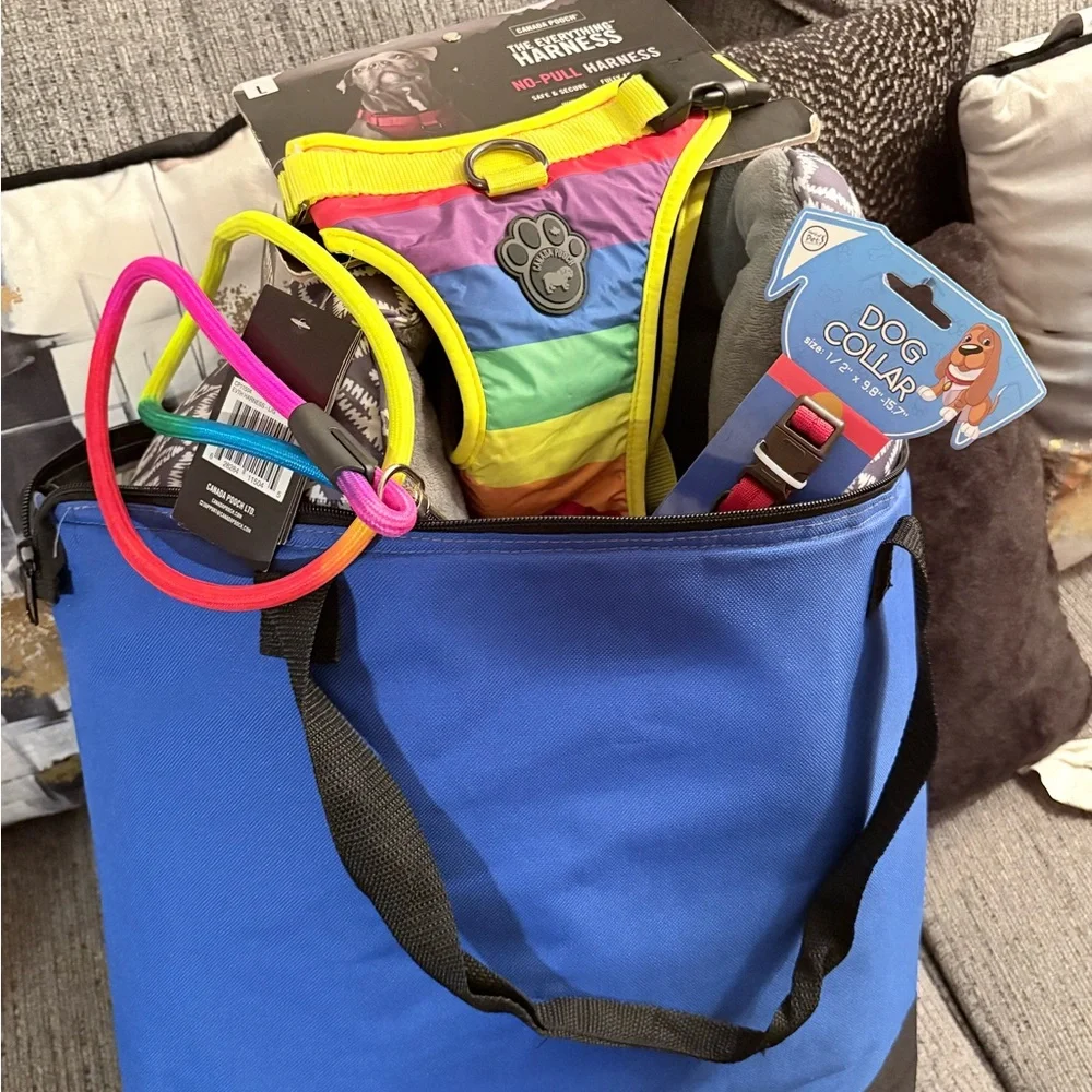 Colorful Dog Harness and Gray Patterned Pet Bed Set